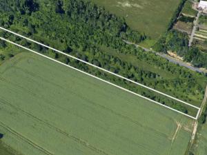 Prodej zahrady, Bystřice pod Hostýnem, Jeřabinová, 5053 m2