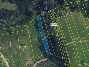 Dražba lesa, Spešov, 1009 m2