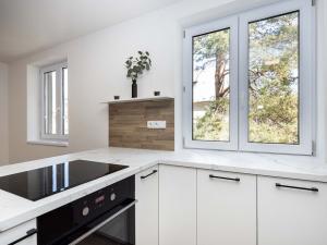 Pronájem bytu 2+kk, Opava - Předměstí, U Hliníku, 46 m2