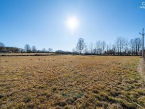 Prodej pozemku pro bydlení, Kozlovice, 1003 m2