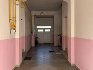 Prodej obchodního prostoru, Holešov, Palackého, 801 m2