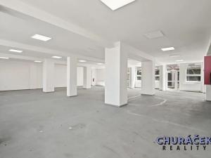 Prodej obchodního prostoru, Čelákovice, Sokolovská, 463 m2