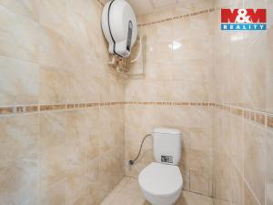 Prodej obchodního prostoru, Ústí nad Labem - Ústí nad Labem-centrum, Masarykova, 48 m2