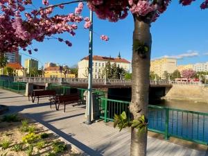 Prodej bytu 2+1, Břeclav, Slovácká, 51 m2