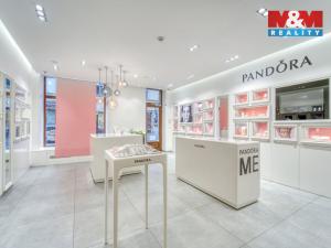 Pronájem obchodního prostoru, Plzeň - Vnitřní Město, Bedřicha Smetany, 116 m2