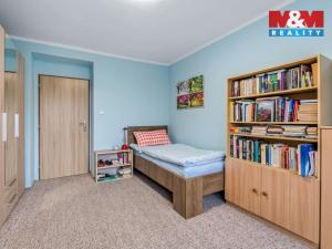 Prodej bytu 2+1, Litvínov - Horní Litvínov, U Zámeckého parku, 58 m2