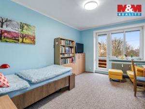 Prodej bytu 2+1, Litvínov - Horní Litvínov, U Zámeckého parku, 58 m2