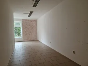 Pronájem obchodního prostoru, Hodonín, Cihlářská čtvrť, 61 m2