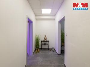 Pronájem kanceláře, Louny, Březinova, 210 m2