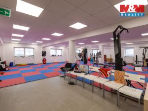 Pronájem kanceláře, Louny, Březinova, 210 m2