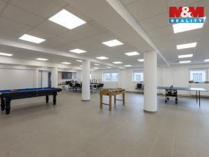 Pronájem kanceláře, Louny, Březinova, 210 m2