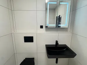 Pronájem bytu 2+kk, Praha - Vršovice, Krymská, 45 m2