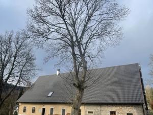 Prodej chalupy, Vernéřovice, 280 m2