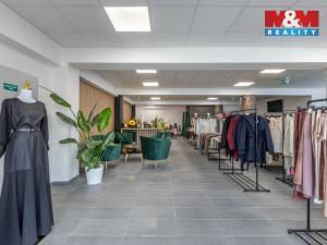 Pronájem obchodního prostoru, Louny, Březinova, 210 m2