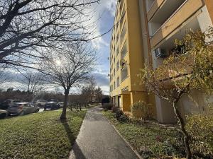 Pronájem bytu 1+1, Brno, Fleischnerova, 45 m2