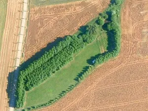 Prodej zahrady, Doubravčice, 7161 m2