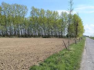 Prodej zahrady, Doubravčice, 7161 m2