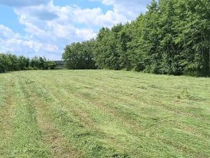 Prodej zahrady, Doubravčice, 7161 m2