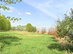 Prodej zahrady, Doubravčice, 7161 m2