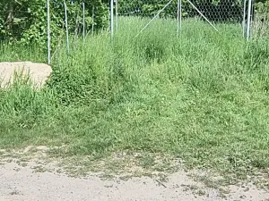 Prodej zahrady, Doubravčice, 7161 m2