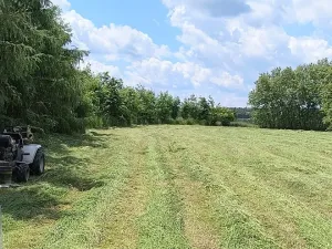Prodej zahrady, Doubravčice, 7161 m2