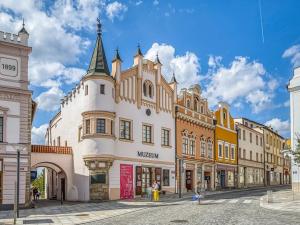 Prodej rodinného domu, Havlíčkův Brod, Ječná, 239 m2
