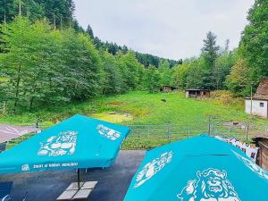 Prodej ubytování, Valašské Klobouky, Brumovská, 467 m2