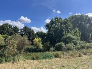 Prodej louky, Praha - Královice, 698 m2