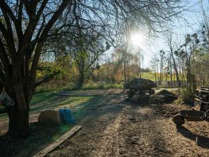 Pronájem - jiné, Markvartovice, 111 m2