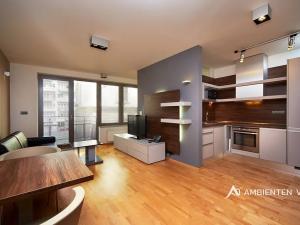 Pronájem bytu 1+kk, Brno, Kopečná, 39 m2