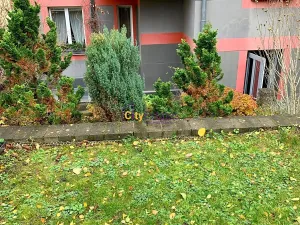 Pronájem bytu 2+kk, Praha - Košíře, Cetyňská, 45 m2