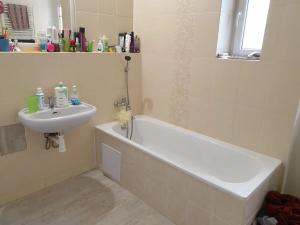 Pronájem bytu 2+1, Teplice, Jankovcova, 62 m2