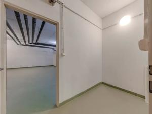 Prodej bytu 6+kk a větší, Praha - Žižkov, Ke kapslovně, 226 m2