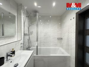 Pronájem bytu 2+1, České Budějovice - České Budějovice 7, Mánesova, 47 m2