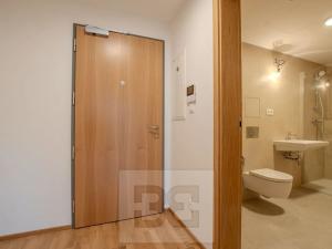 Pronájem bytu 1+kk, Praha - Smíchov, Toyen, 42 m2