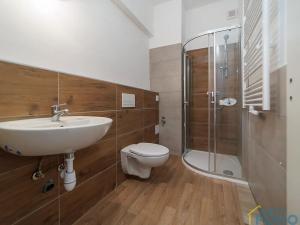 Prodej bytu 1+kk, Choceň, Peliny, 28 m2