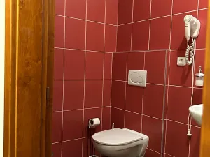 Pronájem pokoje, Kolín, Na Hradbách, 28 m2