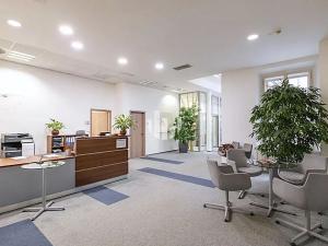 Pronájem kanceláře, Praha - Nové Město, Olivova, 300 m2