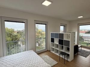 Pronájem bytu 1+kk, Přerov, Čechova, 32 m2