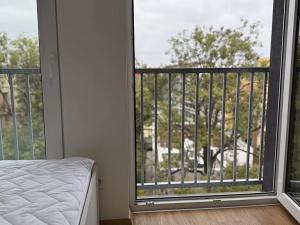 Pronájem bytu 1+kk, Přerov, Čechova, 32 m2