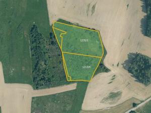 Prodej pole, Velký Bor, 34439 m2