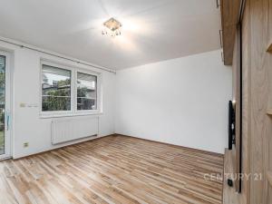 Pronájem atypického bytu, Starý Plzenec, Máchova, 60 m2