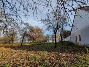 Prodej zemědělské usedlosti, Vysoké Mýto, 250 m2
