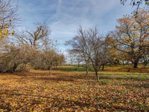 Prodej zemědělské usedlosti, Vysoké Mýto, 250 m2