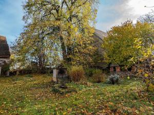 Prodej zemědělské usedlosti, Vysoké Mýto, 250 m2