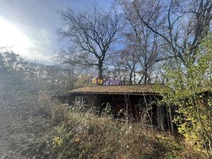 Prodej louky, Popovičky, 1643 m2