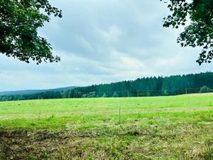 Prodej louky, Herálec, 35197 m2