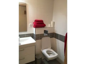 Pronájem bytu 1+1, Liberec, Lázeňská, 36 m2