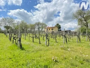 Prodej vily, Monte San Savino, Itálie, 250 m2