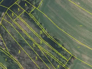 Prodej lesa, Vyskytná, 4964 m2